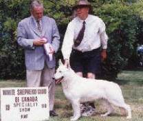 Lynsdens Kennel - Narlene