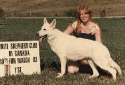 WGSDCI Ch. Hoof Print Ista OFA